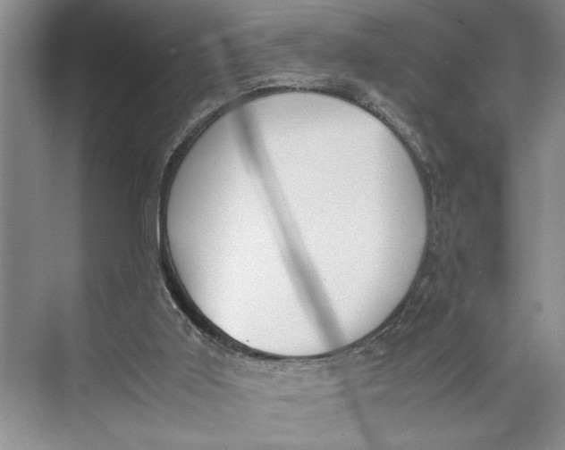 X0000074970011200609221835