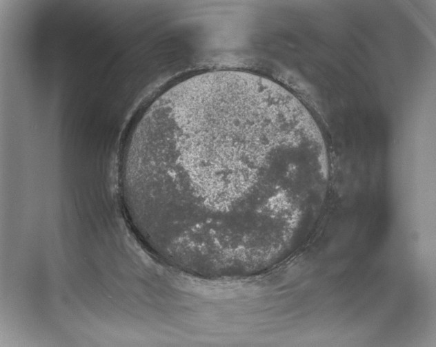 X0000074970012200609221835