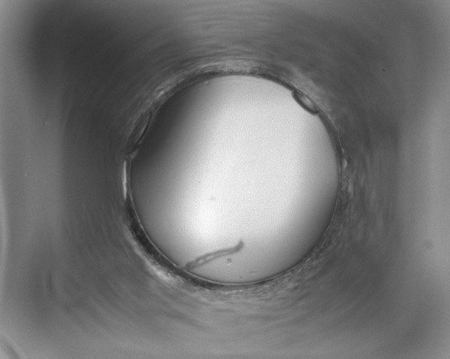 X0000074970013200609221835