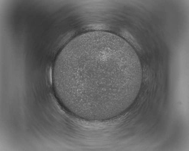 X0000074970014200609221835