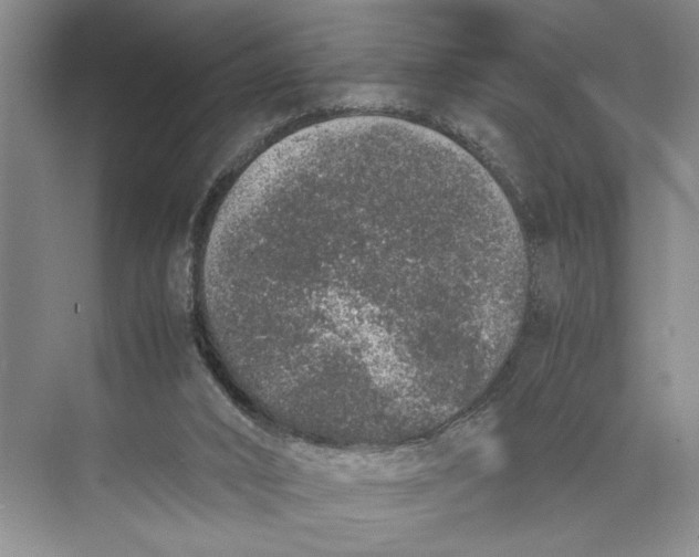 X0000074970016200609221835