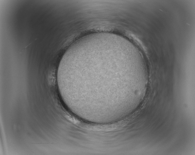 X0000074970017200609221835