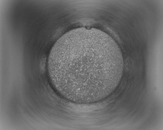 X0000074970018200609221835