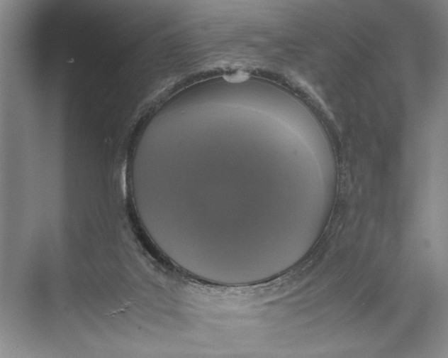 X0000074970019200609221835