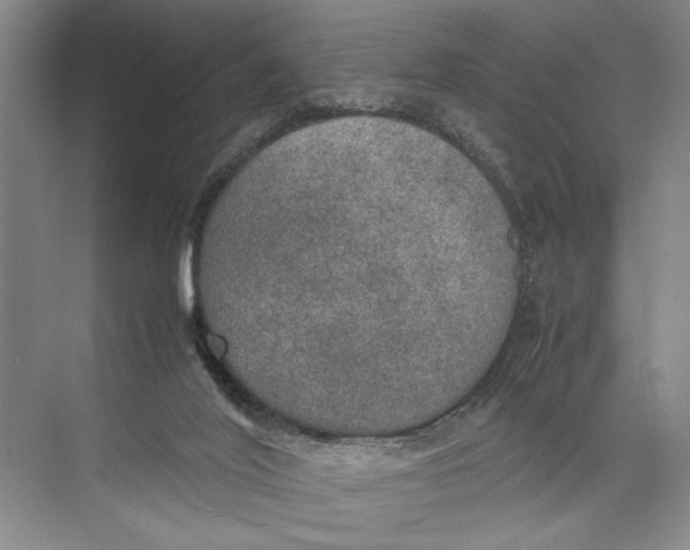 X0000074970020200609221835