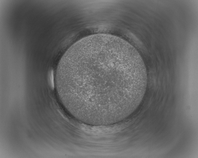 X0000074970022200609221835