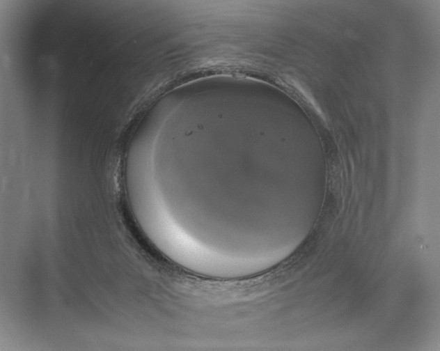 X0000074970023200609221835