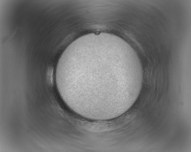 X0000074970024200609221835