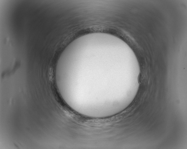 X0000074970025200609221835