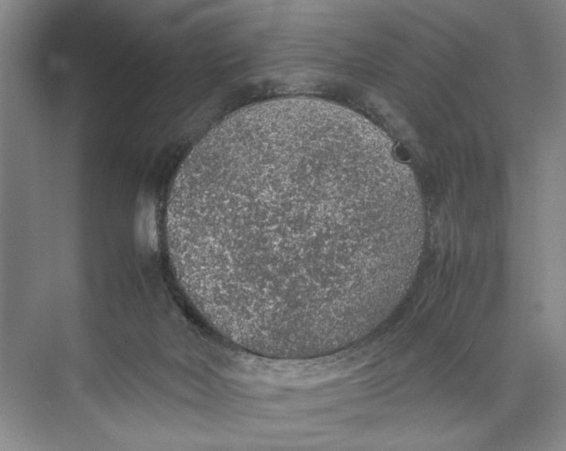 X0000074970026200609221835