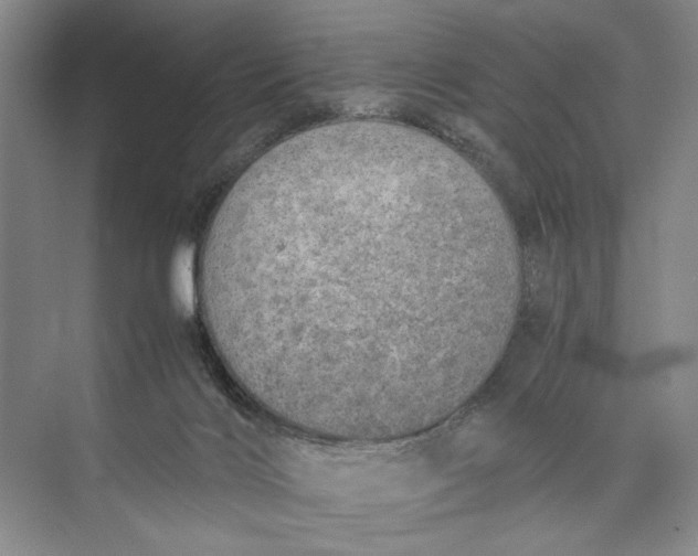 X0000074970028200609221835