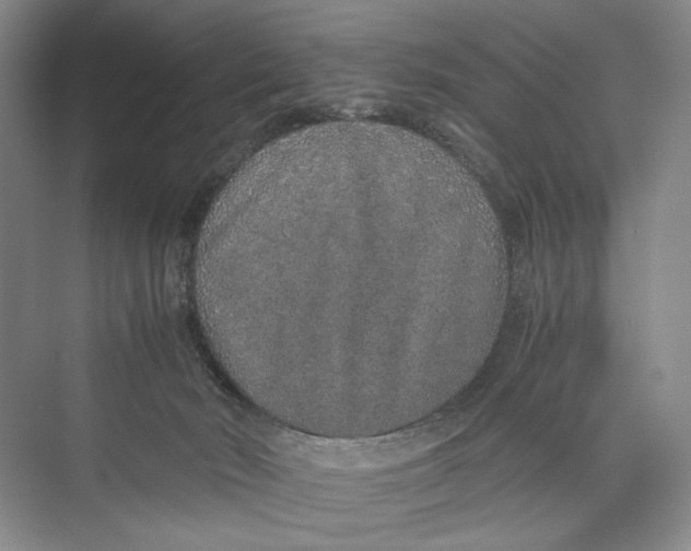 X0000074970030200609221834