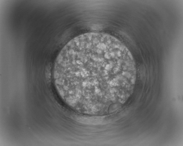 X0000074970032200609221834