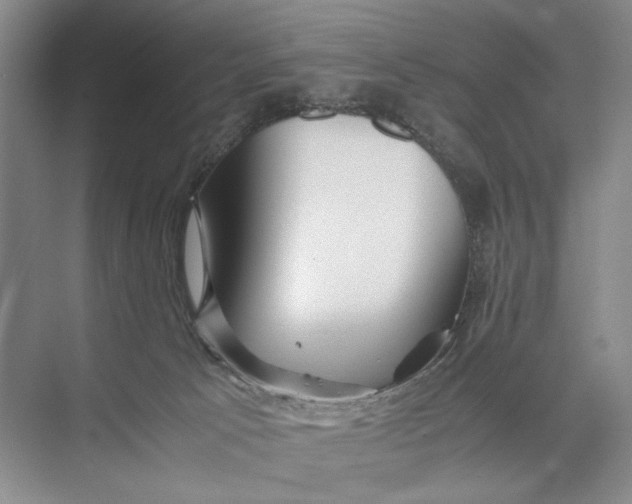 X0000074970033200609221834