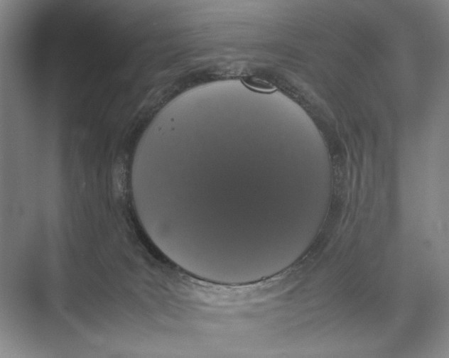 X0000074970035200609221834