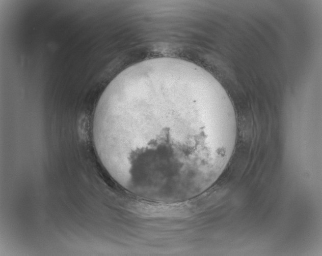 X0000074970036200609221834