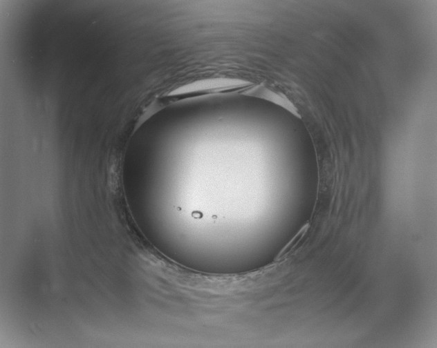 X0000074970037200609221834