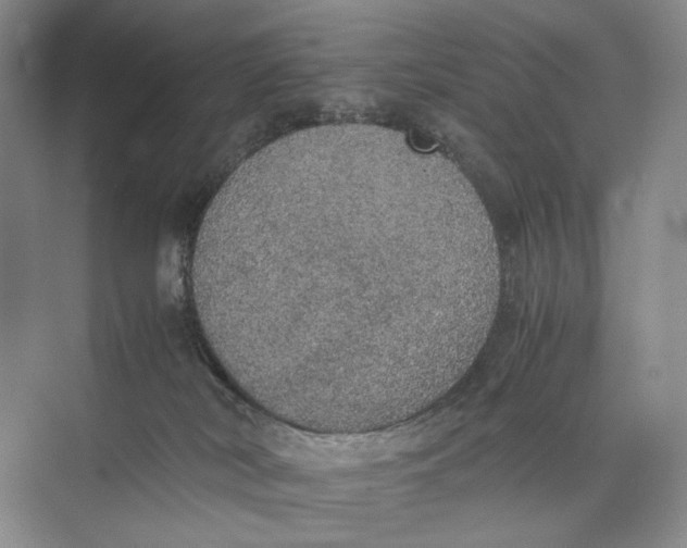 X0000074970038200609221834