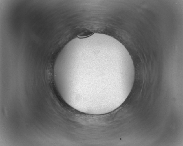 X0000074970040200609221834