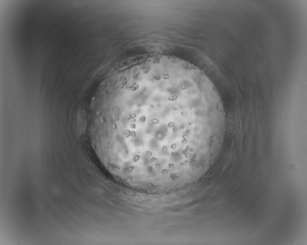 X0000074970043200609221834