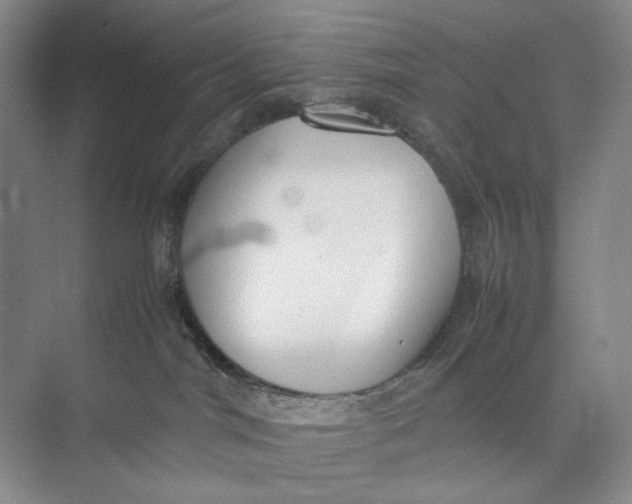 X0000074970044200609221834