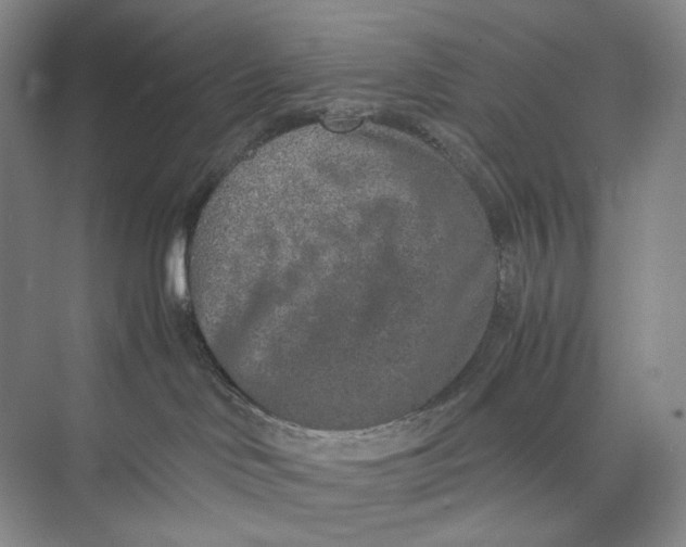 X0000074970046200609221834