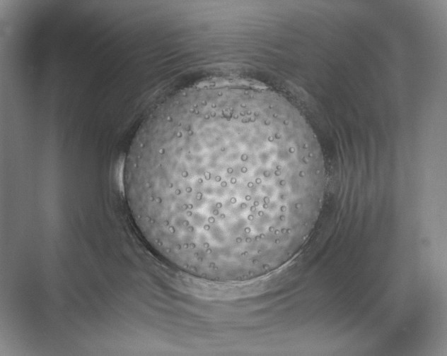 X0000074970047200609221834