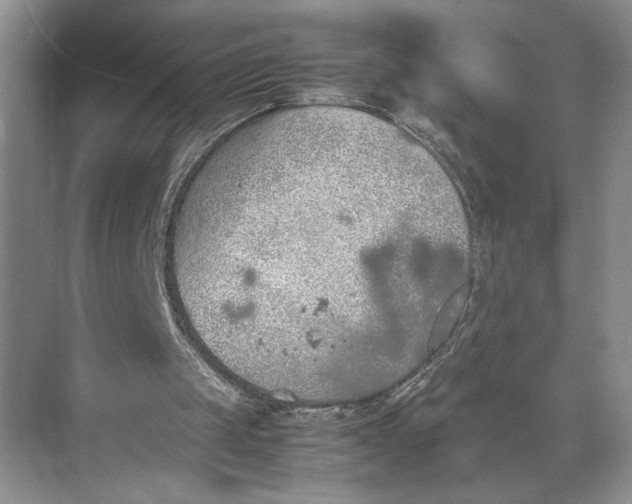 X0000074970049200609221833