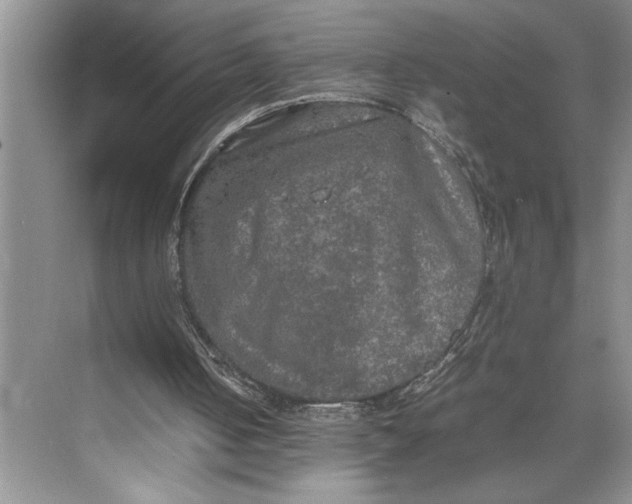 X0000074970050200609221833