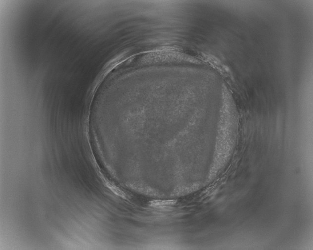 X0000074970051200609221833