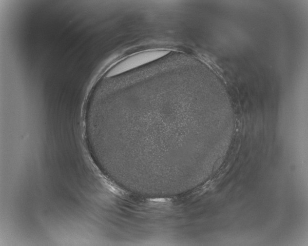 X0000074970053200609221833