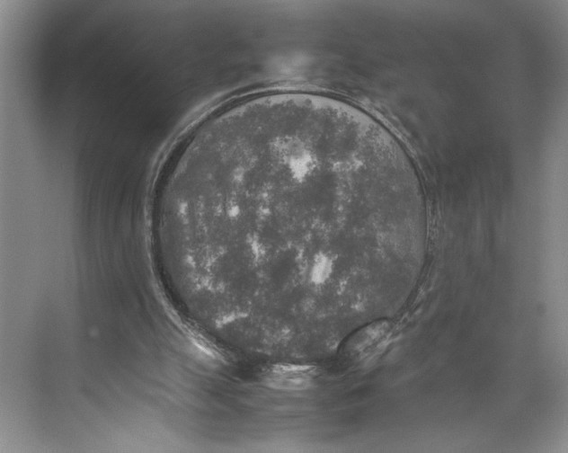 X0000074970055200609221833