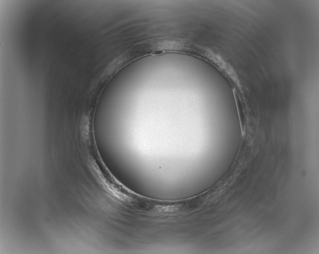 X0000074970057200609221833