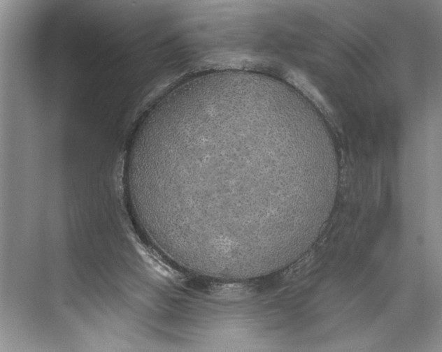 X0000074970058200609221834