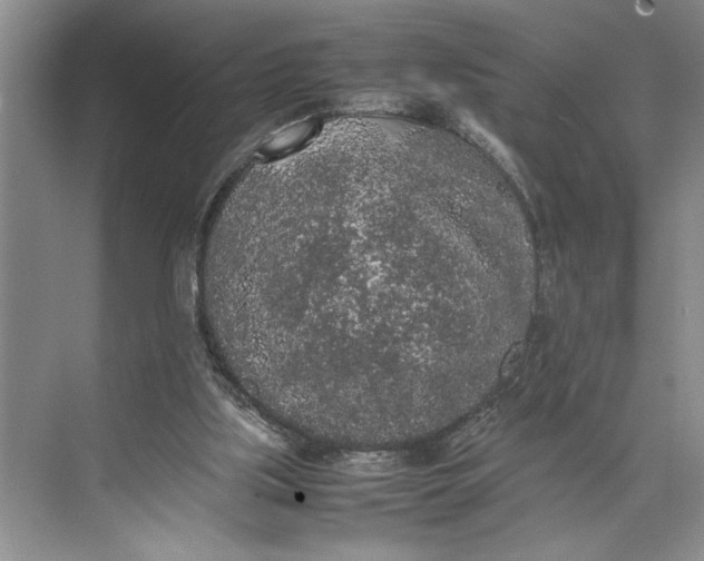 X0000074970059200609221834