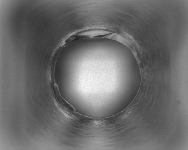 X0000074970060200609221834