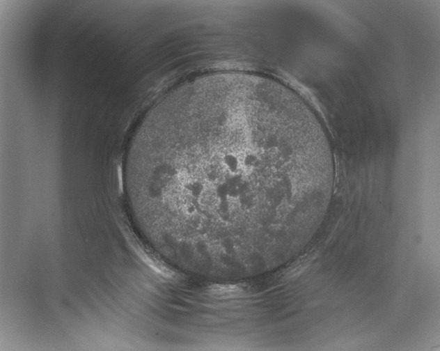 X0000074970061200609221834