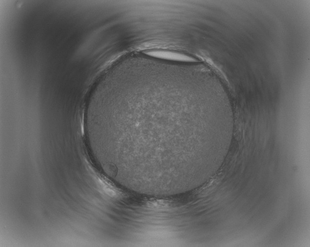 X0000074970062200609221834