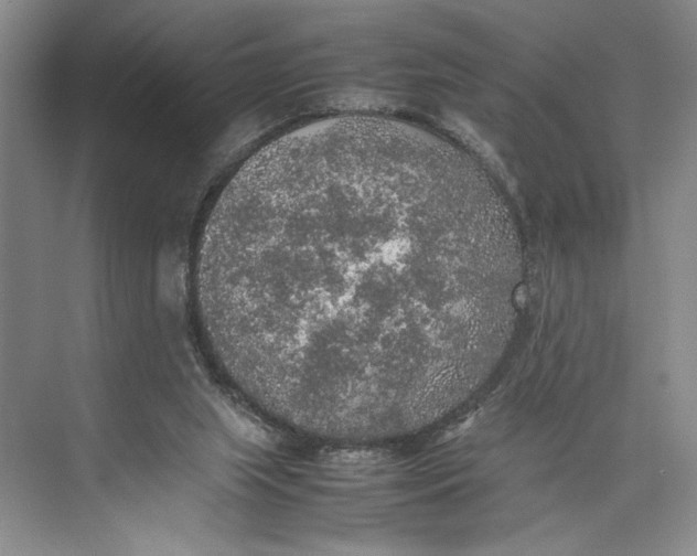 X0000074970063200609221834