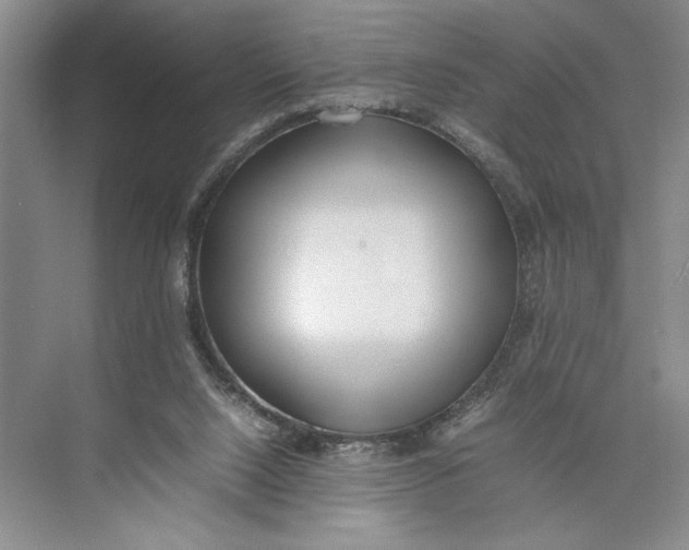 X0000074970064200609221834