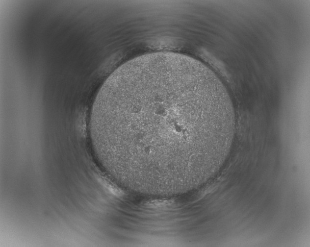 X0000074970065200609221834