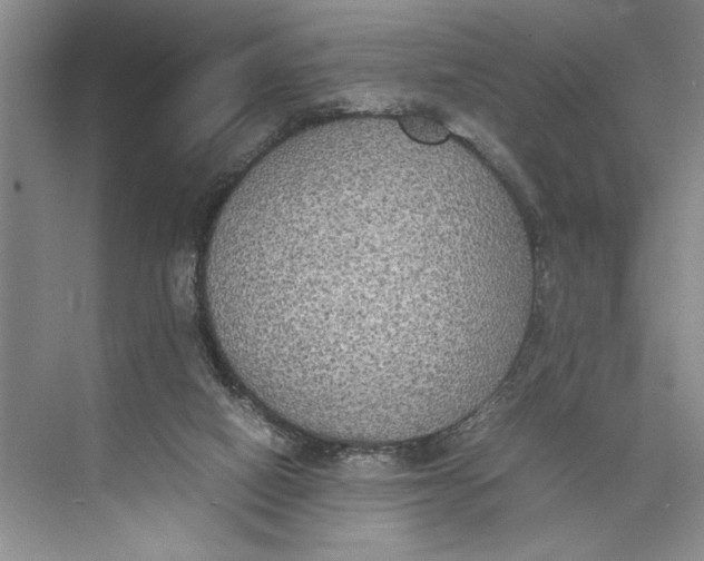 X0000074970066200609221834