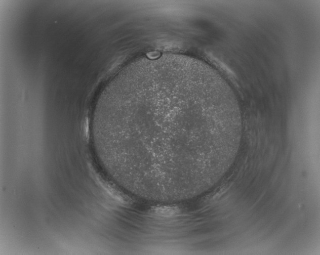 X0000074970067200609221834