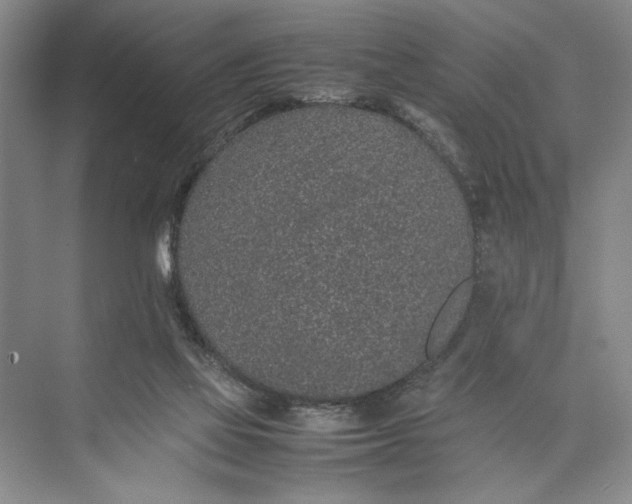 X0000074970069200609221834