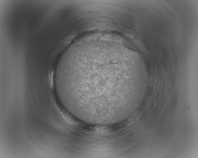 X0000074970070200609221834