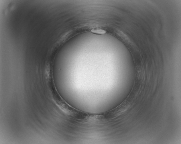 X0000074970072200609221834