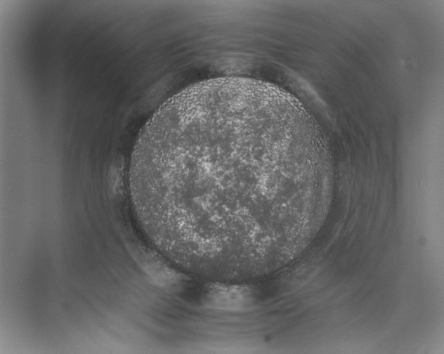 X0000074970073200609221834