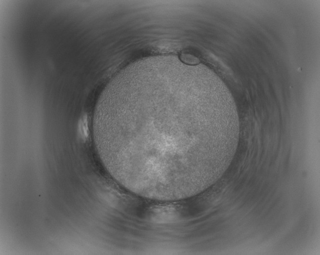 X0000074970075200609221834