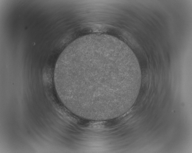 X0000074970078200609221834