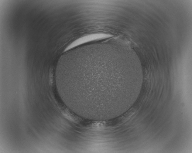 X0000074970080200609221834